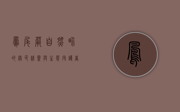 凤尾蕨,自然界的绿色精灵与生态守护者 凤尾蕨,自然界的绿色精灵与生态守护者
