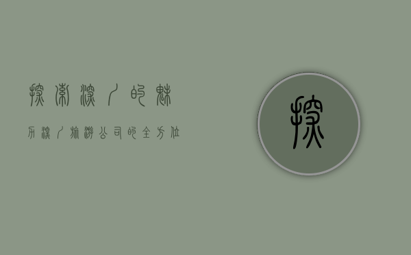 探索深圳的魅力，深圳旅游公司的全方位服务指南