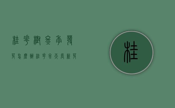 桂花树冬季发芽怎么办（桂花冬天长新芽）