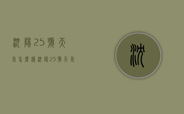 沈阳25号天气怎么样（沈阳25号天气怎么样呀）