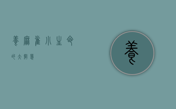 养麻雀,小生命的大智慧 养麻雀,小生命的大智慧