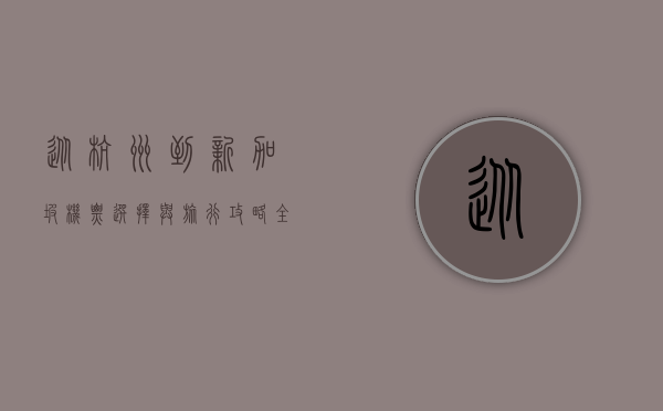 从杭州到新加坡，机票选择与旅行攻略全解析