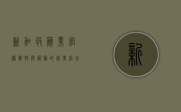 新加坡苹果官网，科技与服务的完美结合