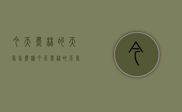 今天黑林的天气怎么样（今天黑林的天气怎么样英语）