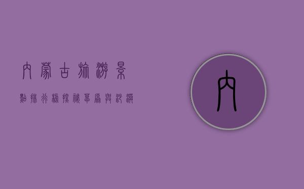 内蒙古旅游景点排行榜，探秘草原与沙漠的绝美风光