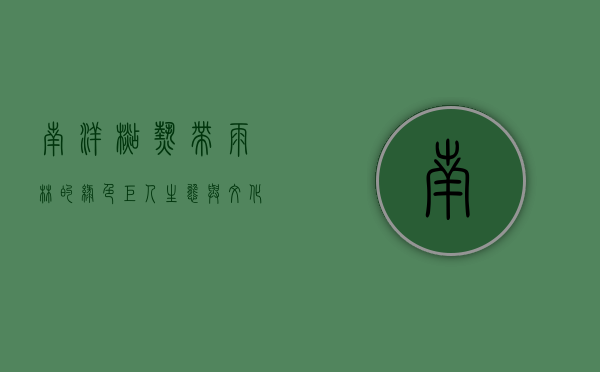 南洋杉，热带雨林的绿色巨人，生态与文化的交织