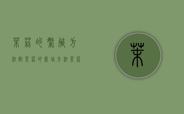 茉莉的繁殖方法，附茉莉的栽培方法（茉莉繁殖方式）