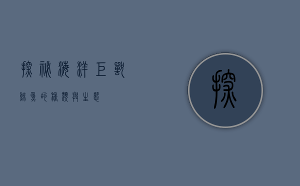 探秘海洋巨兽，鲸鱼的种类与生态