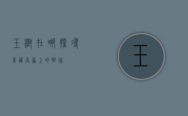 玉树在哪？探寻青藏高原上的明珠