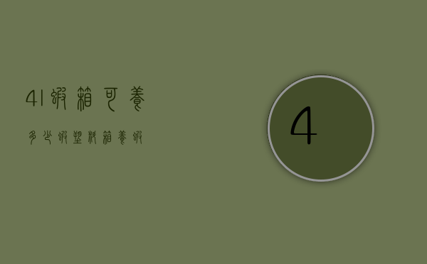 4l虾箱可养多少虾（塑料箱养虾）
