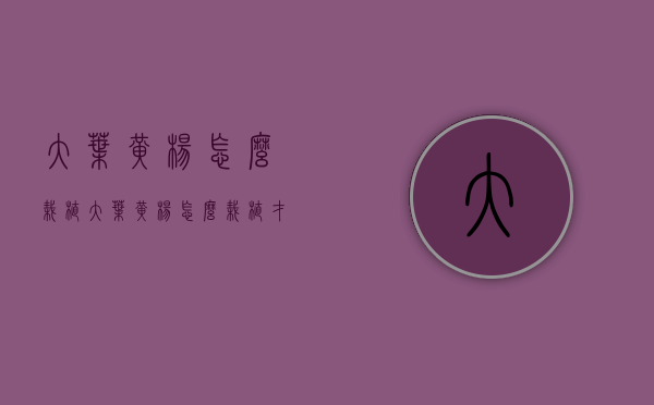 大叶黄杨怎么栽植（大叶黄杨怎么栽植才能活）