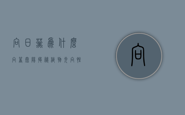 向日葵为什么向着太阳，揭秘植物光向性的奥秘