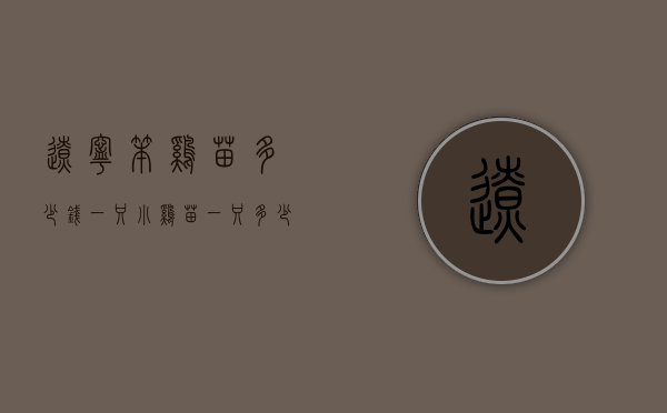 辽宁笨鸡苗多少钱一只（小鸡苗一只多少钱）