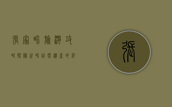 张家界旅游攻略，探秘世界自然遗产的绝美风光