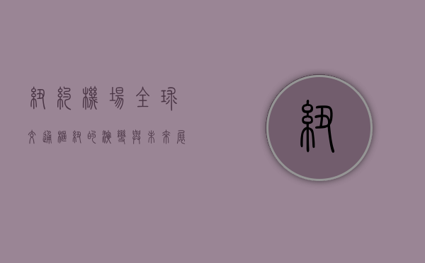 纽约机场，全球交通枢纽的演变与未来展望