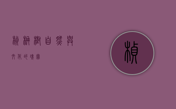 桢楠树，自然与文化的瑰宝