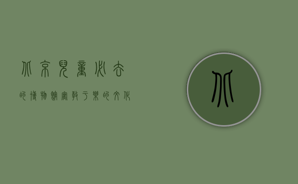 北京儿童必去的博物馆，寓教于乐的文化之旅