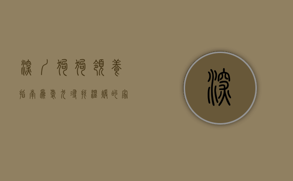 深圳狗狗领养指南，为爱犬寻找温暖的家