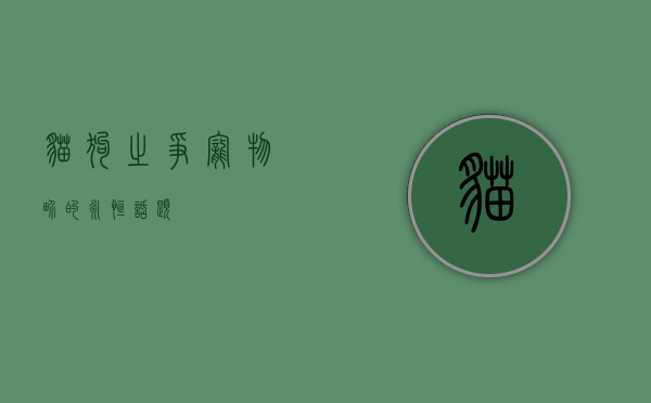 猫狗之争，宠物界的永恒话题