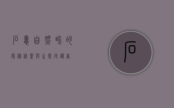 石蛙，自然界的隐秘精灵与生态守护者