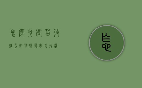 怎么找树苗收购商（树苗批发市场收购）