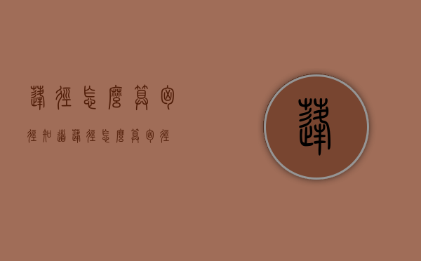 蓬径怎么算胸径（知道蓬径怎么算胸径）