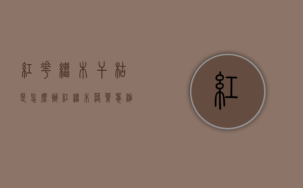 红花继木干枯是怎么办（红继木落叶萎缩干枯什么原因）