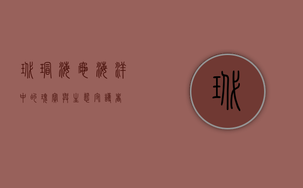 玳瑁海龟，海洋中的瑰宝与生态守护者