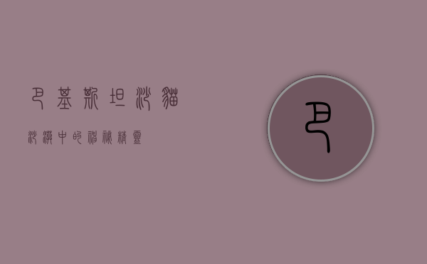 巴基斯坦沙猫，沙漠中的神秘精灵
