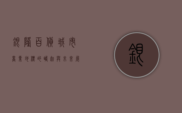 银隆百货，城市商业地标的崛起与未来展望