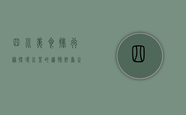 四川美食排行榜，探寻川菜的麻辣鲜香之旅