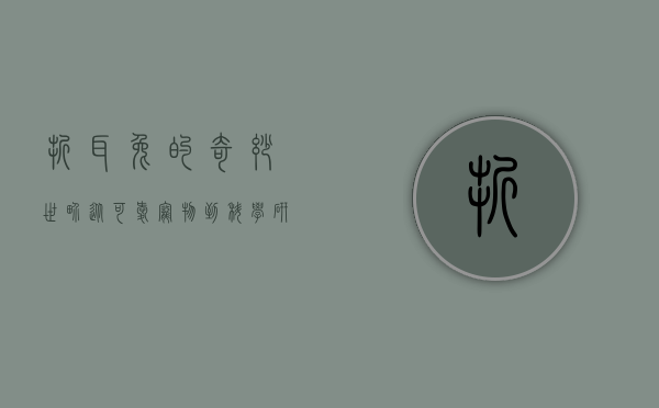折耳兔的奇妙世界，从可爱宠物到科学研究的桥梁