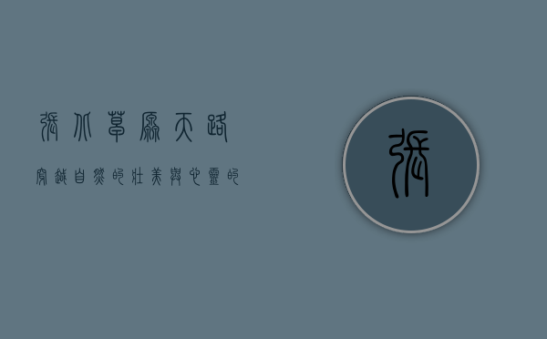 张北草原天路，穿越自然的壮美与心灵的洗礼