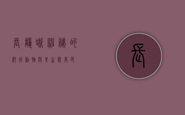 长鬣蜥,神秘的爬行动物与其生态角色 长鬣蜥,神秘的爬行动物与其生态角色