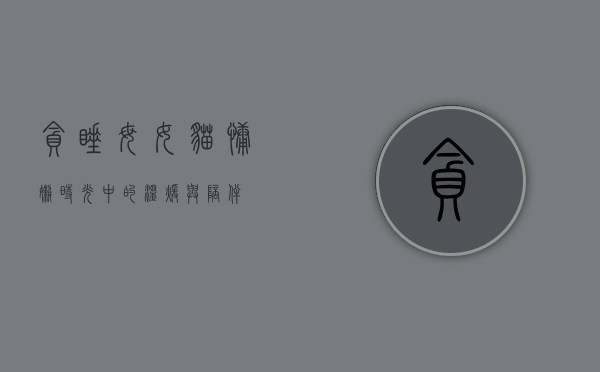 贪睡母女猫，慵懒时光中的温暖与陪伴
