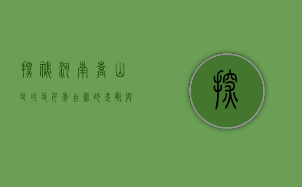 探秘河南嵩山少林寺，千年古刹的武术与禅意