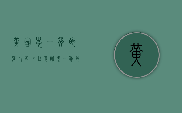 黄国忠一年的收入多少钱（黄国忠一年的收入多少钱人民币）