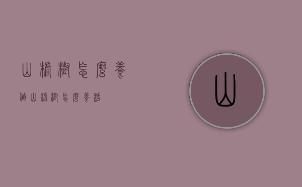 山楂树怎么养值（山楂树怎么养活）