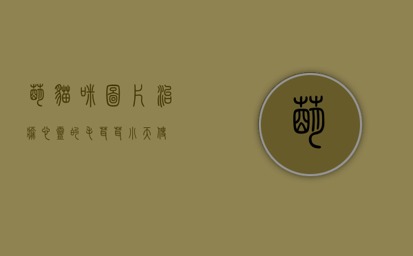 萌猫咪图片，治愈心灵的毛茸茸小天使