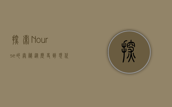 探索Nourse的奥秘，从历史到现代的多维解读