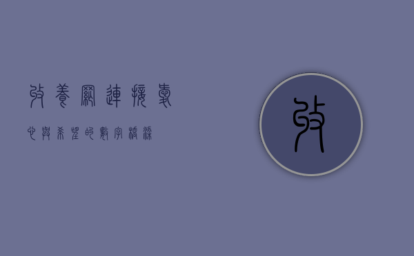 收养网，连接爱心与希望的数字桥梁
