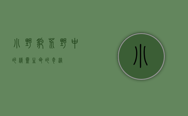 小野豹，荒野中的精灵，生命的奇迹