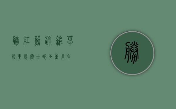 胜红蓟，从杂草到生态卫士的多重角色