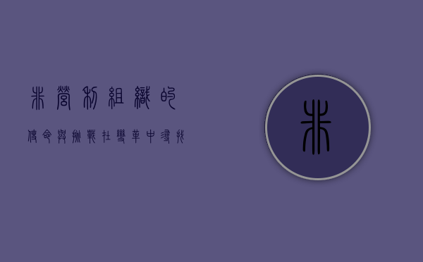 非营利组织的使命与挑战，在变革中寻找可持续发展之路