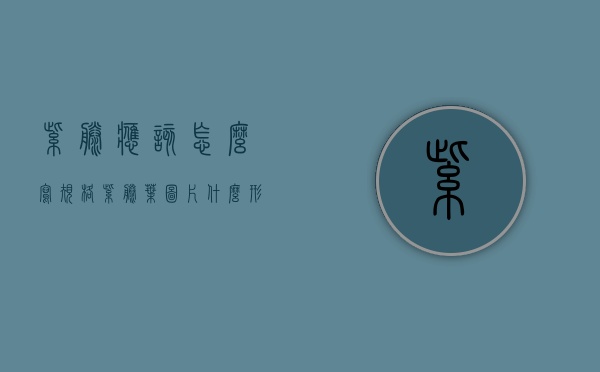 紫藤应该怎么写规格（紫藤叶图片什么形状）
