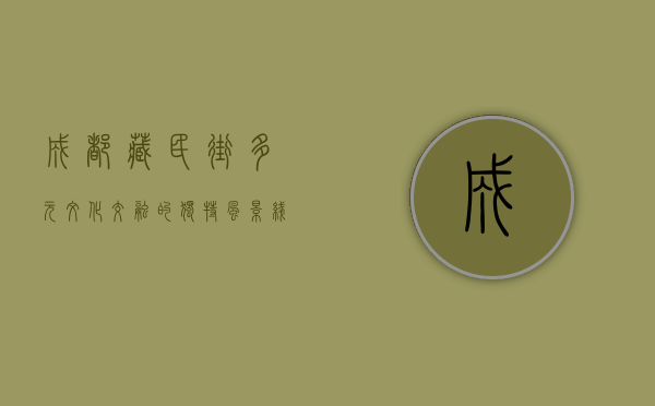 成都藏民街，多元文化交融的独特风景线