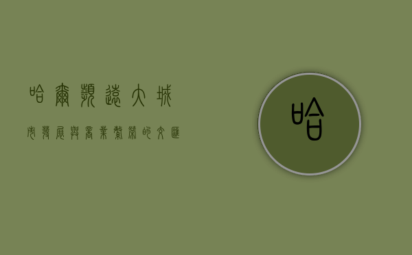 哈尔滨远大，城市发展与商业繁荣的交汇点