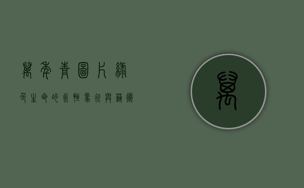 万年青图片，绿色生命的永恒象征与艺术表达