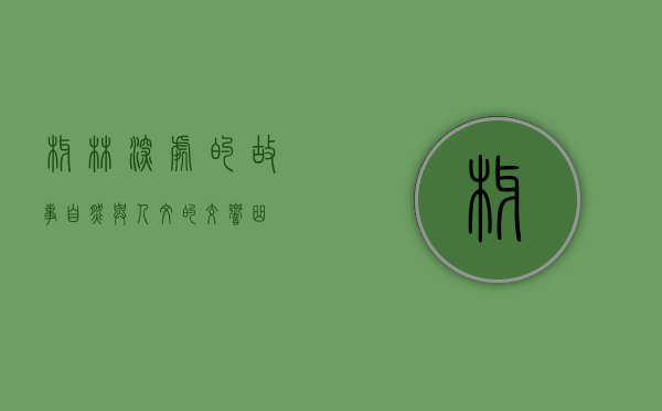 椰林深处的故事，自然与人文的交响曲