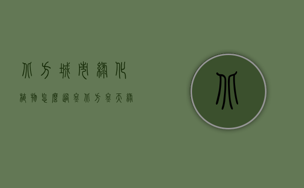 北方城市绿化植物怎么过冬（北方冬天绿植）